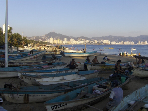 Acapulco, hajok