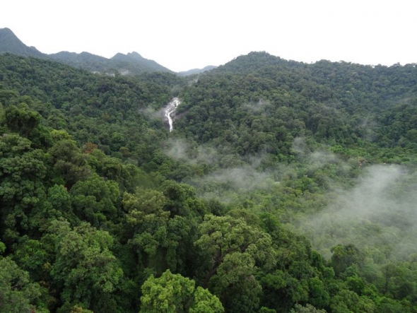 Langkawi: reggeli utazás a gőzölgő maláj dzsungel felett